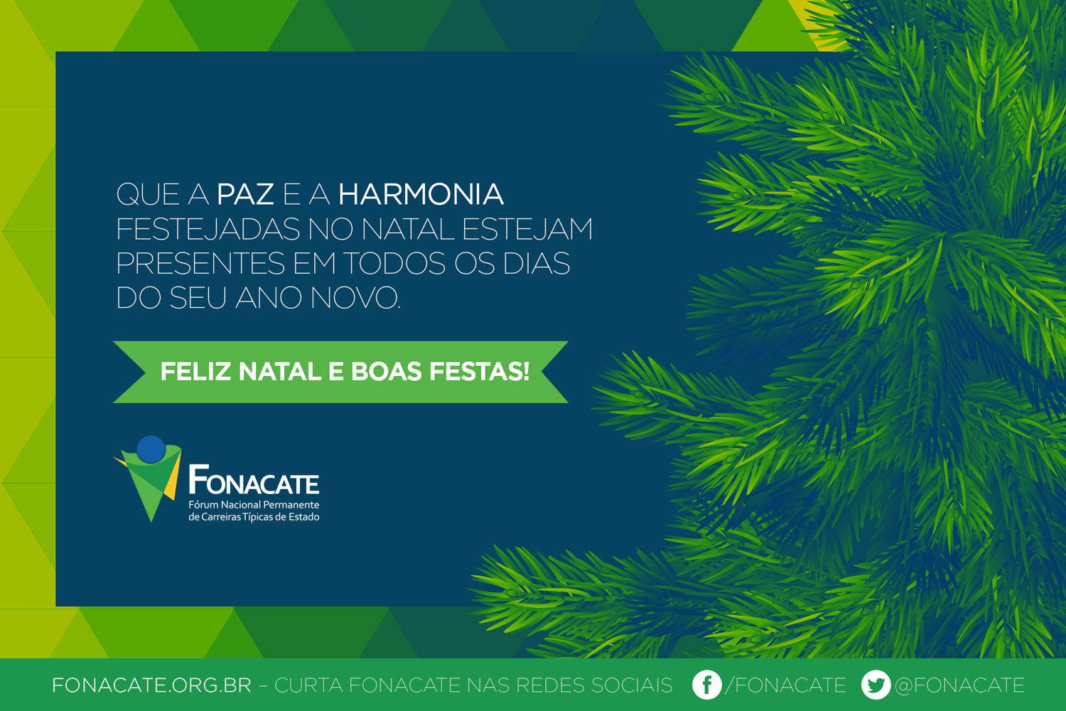 EDITORIAL: Presidente do Fonacate faz um balanço sobre as atividades do Fórum em 2014 e as perspectivas para 2015