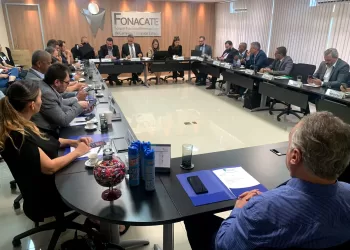 Em Assembleia, Fonacate avalia cenário político e Lei Geral dos Concursos